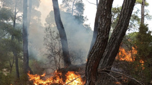Yıldırımdan 11 yangın çıktı