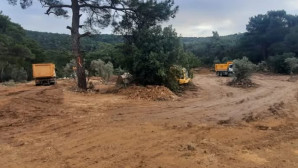 Bodrum’da inşaat yapmak için Zeytinleri kestiler