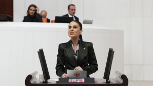 “AKP’nin ‘harika çocukları’ için zeytinlikleri katledecekler!”