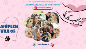 Can Dostlara kalıcı Yuvalar