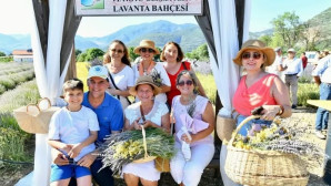 Fethiye’de Lavanta hasadında  renkli görüntüler