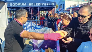 Hamsi Bodrum’da yenir.. 5 ton hamsi kapış kapış gitti