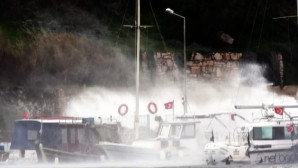 Bodrum’da Fırtına Hayatı Olumsuz Etkiledi: Ağaçlar Devrildi, Tekneler Battı
