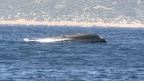 Frontex sınır muhafaza botu battı  biri ağır 5  kişi yaralandı.