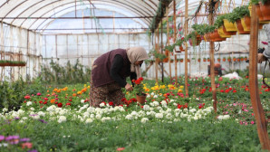 Muğla’da Üretici Kadınlar Meclisi Kuruluyor