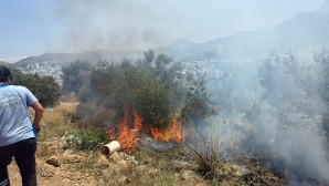 Bodrum Makilik alan yangını