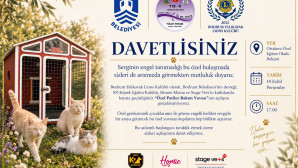 GÖRME ENGELLİ KEDİLER YENİ YUVASINA KAVUŞUYOR