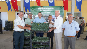 MİLAS BELEDİYESİ KIŞLIK SEBZE FİDELERİNİ ÜRETİCİLERLE BULUŞTURDU