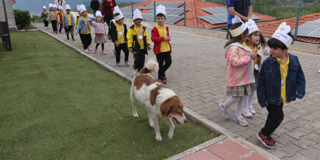 Minikler  Can Dostlarıyla Buluştu