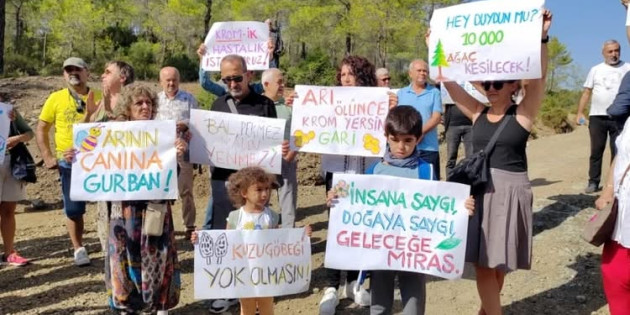 Muğla’nın cennet Yeşilüzümlü ormanlarına Danıştay koruması…