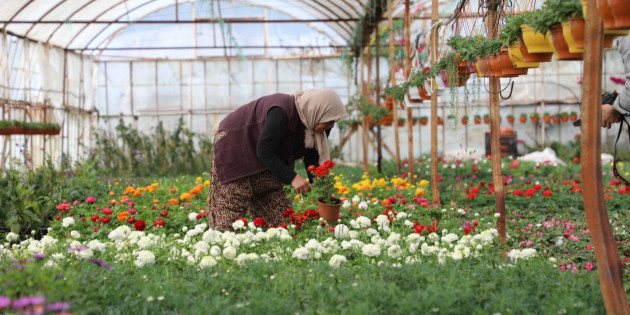 Muğla’da Üretici Kadınlar Meclisi Kuruluyor