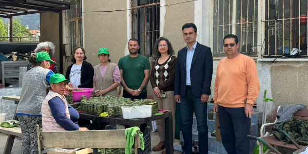 Datça’da Çağla Turşusu Bereketi