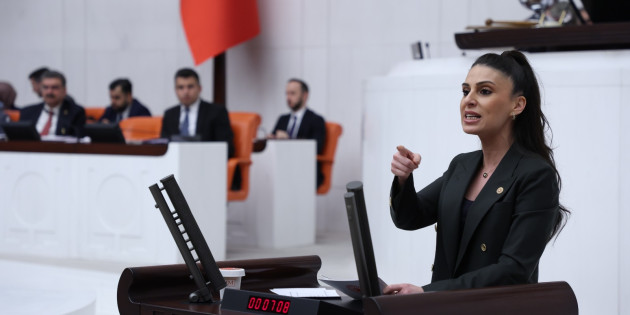 Muğla Milletvekili Gizem Özcan;  “Esra’yı alacağız, Akbelen’i vermeyeceğiz!”