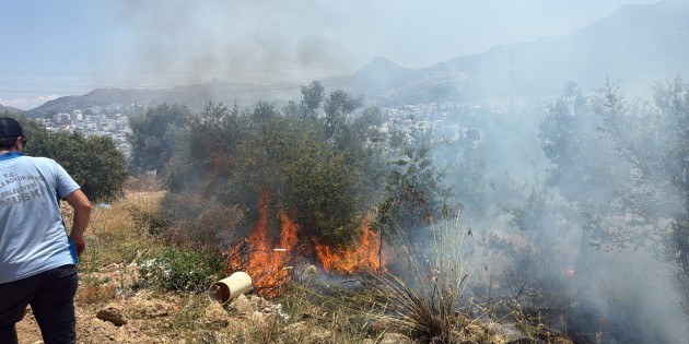 Bodrum Makilik alan yangını