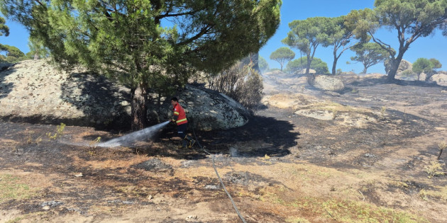 Muğla’a Ormanları İnsanlar Yakıyor !