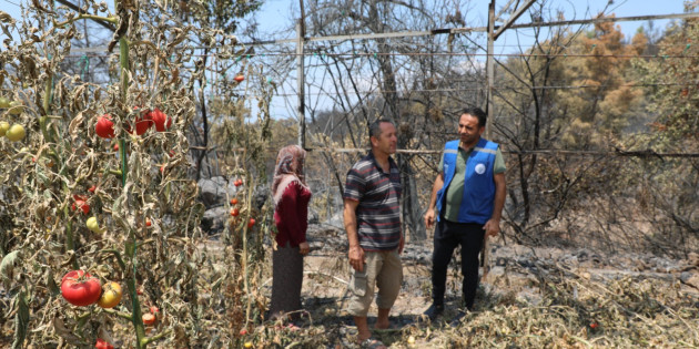 Büyükşehir’den Yangın Sonrası Seydikemer’de Yaralar  Sarılıyor