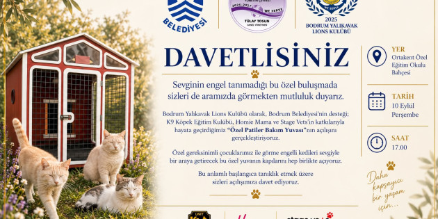 GÖRME ENGELLİ KEDİLER YENİ YUVASINA KAVUŞUYOR
