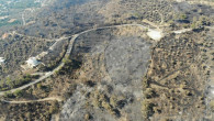 Muğla’daki yangınlarda son durum! Kaç hektar alanın yandığı açıklandı