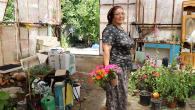 Büyükşehir Destekliyor, Muğla’nın Kadınları Çiçek Üretiyor