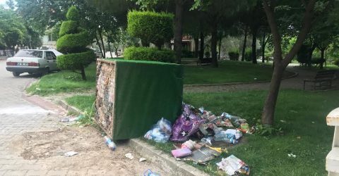 Menteşe’de can güvenliği de kalmadı !