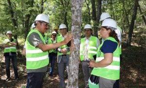 İran Ormancıları Muğla’da Trüf Mantarı Çalışmalarını İnceledi