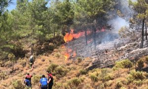 MUĞLA YILANLI DAĞLARDA YANGIN BAŞLADI