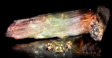 Dünyada sadece Milas’ta çıkarılıyor