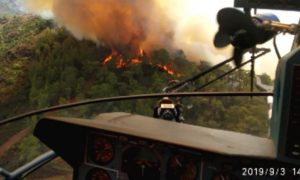 MARMARİS TAŞHAN’DA ORMAN YANGINI BAŞLADI