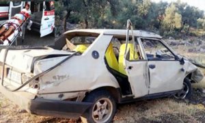 YOLDAN TAKLALAR ATARAK TARLAYA UÇTULAR