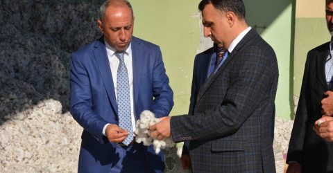 Çırçır fabrikasında “Beyaz Altın” mesaisi