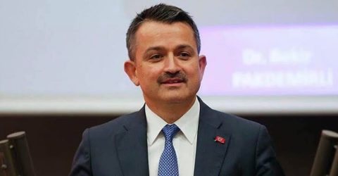 Bakan Pakdemirli’den Zeytin Üreticilerine Müjde