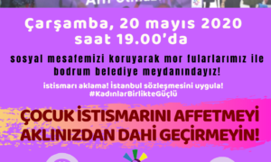 Bodrum Kadın Dayanışma Derneği