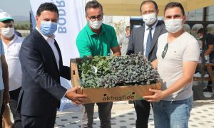 BODRUM BELEDİYESİ 140 BİN KIŞLIK FİDEYİ ÜRETİCİLERE HİBE ETTİ