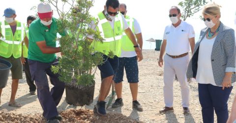 BODRUM DA  SAHİLLER AĞAÇLANDIRILIYOR