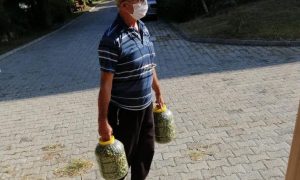 HUZUR EVİNDE SALAMURA YAPTILAR