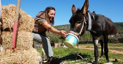 “LODOS” YENİ YUVASINDA 