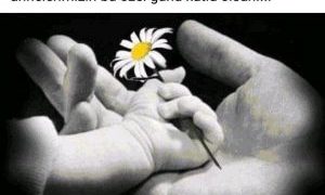 ANNELER GÜNÜNÜZ KUTLU OLSUN