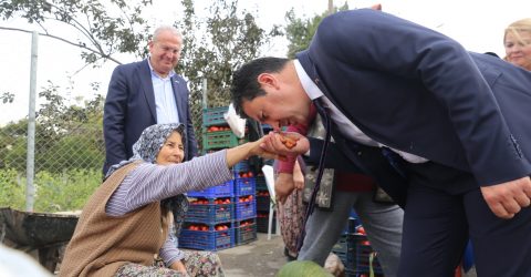 YAŞLILARA SAYGI PROJESİ