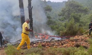 Muğla’da 12 günde 48 Yıldırım Yangını