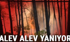 Alevler yine yükseldi Marmaris -Datça yolu kapatıldı