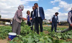CHP’li Erbay: “Tarım Bakan’ı çiftçiyi anladı ama yanlış anladı “