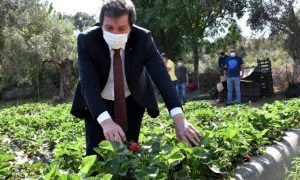 Çilek Projesi Ailelerin Geçim Kaynağı