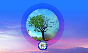 Muğla’yı uluslararası platformlarda temsil ediyor