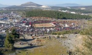 Yatağan Deve Güreşi Festivali, 16 Ocak’ta