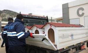SOKAK HAYVANLARI İÇİN ORTAK PROJE