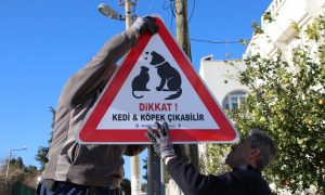 BODRUM BELEDİYESİ’NDEN CANLAR İÇİN TABELA