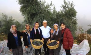 “Zeytinliklerin Korunması İçin Hukuki Mücadele Başlatıyoruz”