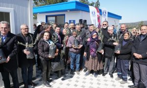 YANGINDA ZARAR GÖREN ÜRETİCİYE 3500 ADET ZEYTİN FİDANI HİBE EDİLDİ