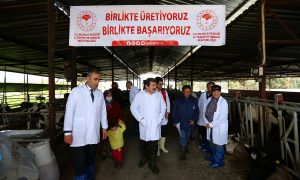 ARİ’DEN SONRA BUZAĞI KALKANI PROJESİ   