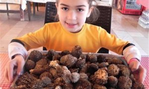 HERKES ONUN PEŞİNDE 